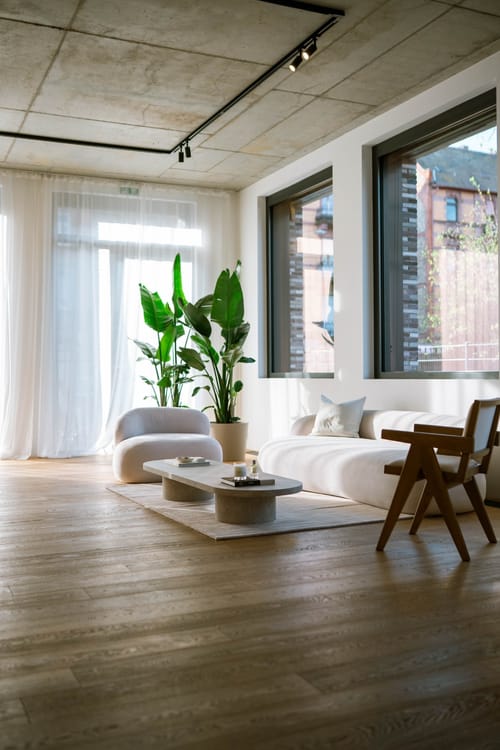 Helle Lounge mit runden Polstermöbeln, Holzstuhl, großen Pflanzen und Sonnenlicht durch die Fenster